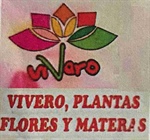Venta de plantas