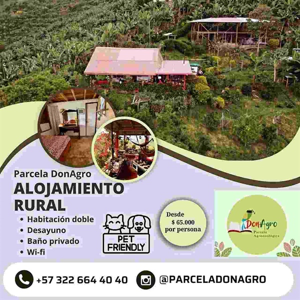 Hoteles y Alojamiento, Cultura y música