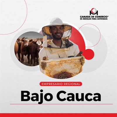 Ferretería el Hueco SJ