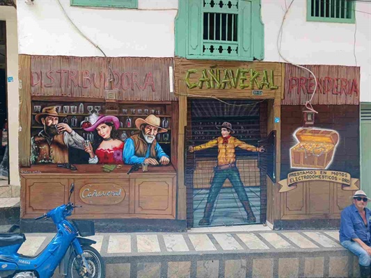 Distribuidora Cañaverales