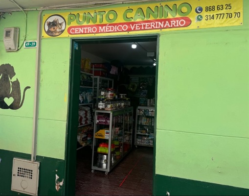 Punto Canino