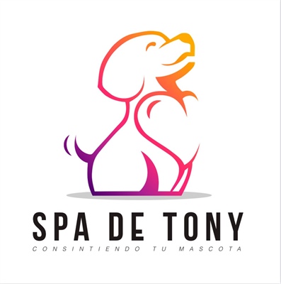 Spa de Tony