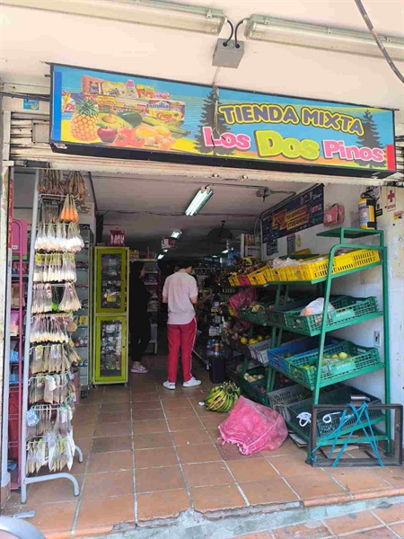 Tienda Mixta Los Dos Pinos