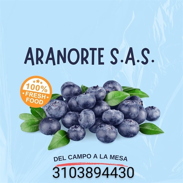 Aranorte SAS