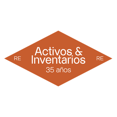 Activos e Inventarios Ltda