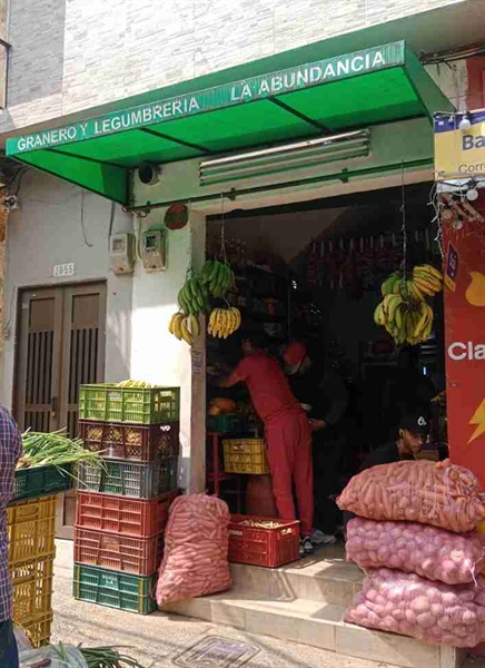 Granero Mixto Y Legumbreria La Abundancia
