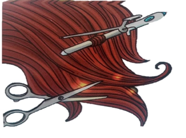 Barbería y Peluquerías, Servicios y asesorías