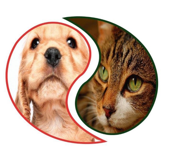 Asesoría medico veterinaria entre otras.