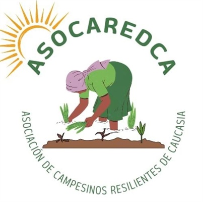 ASOCAREDCA Asociación de campesinos resilientes de Caucasia