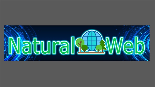 Natural Web SAS