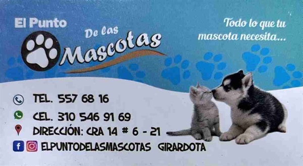 El Punto De Las Mascotas