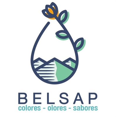 Guías Belsap